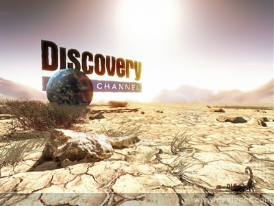 Discovery